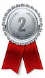medal ribbon SILVER.jpeg
